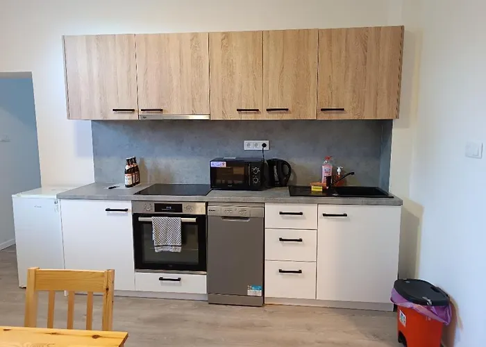 Martin Sarvaš 7 Apartmán Tachov (Plzen)